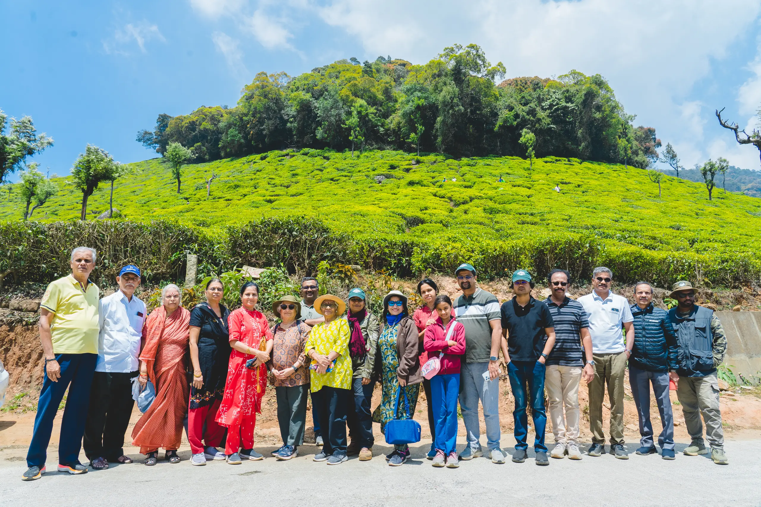 A group of travellers, including older adults, on a tea-covered hillside
