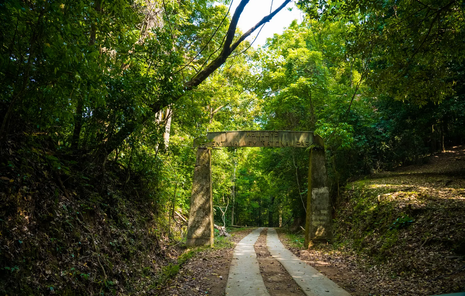 Weathered Silent Valley National Park entrance arch over a forest road