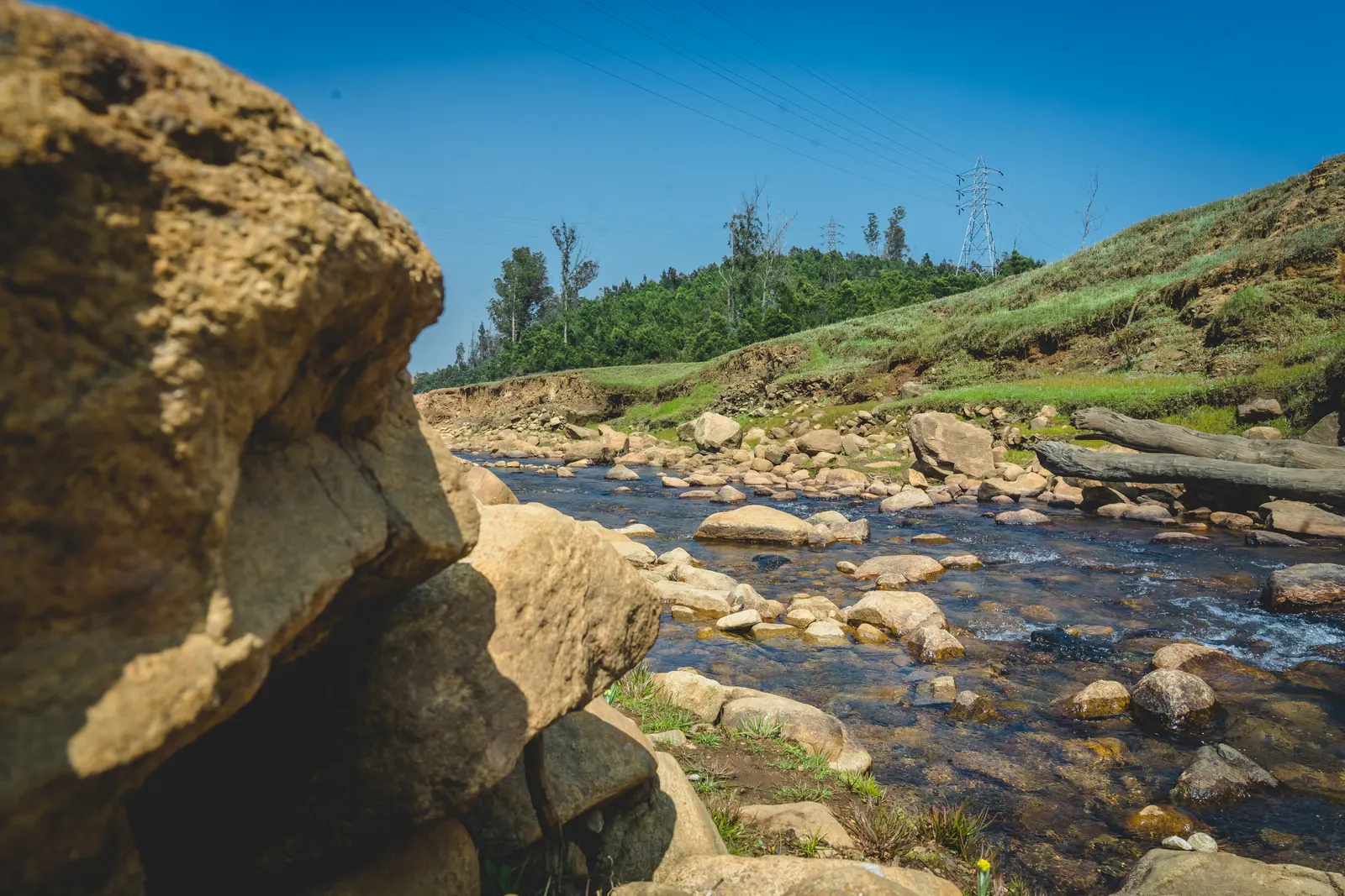 A rocky stream running through a grassy Nilgiri valley under a clear blue sky